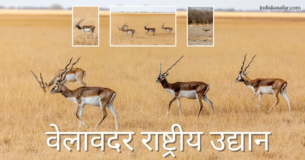Places Near Bhavnagar For Picnic