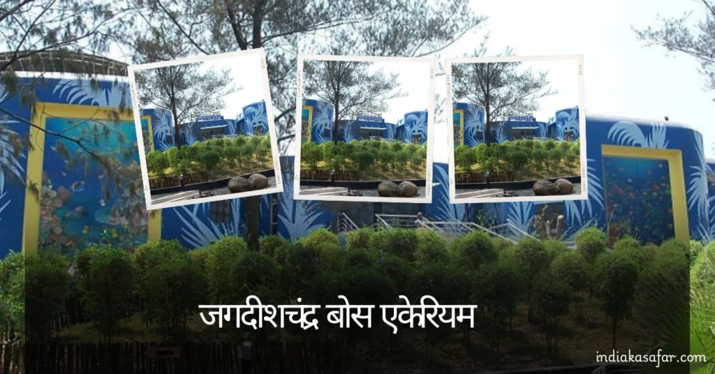 Surat Me Ghumne Ki Jagah